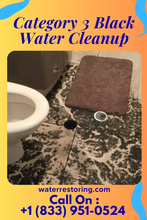 Category 3 Black Water Cleanup in Hecker, IL
