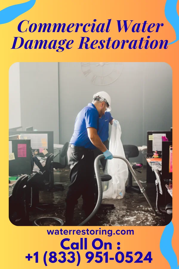 Commercial Water Damage Restoration in Hecker, IL